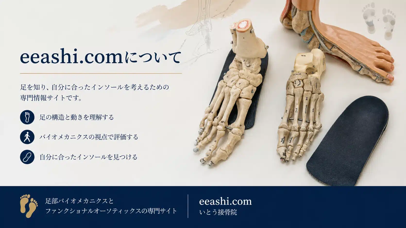足部バイオメカニクスとインソールについて解説するeeashi.comのイメージ