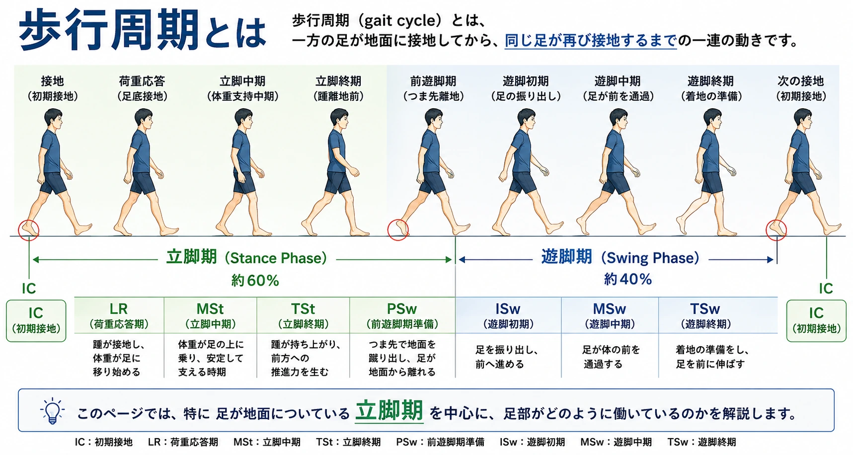 仕事で使用するゴム長靴・厨房靴・安全靴・作業靴とオーソティックスの注意点