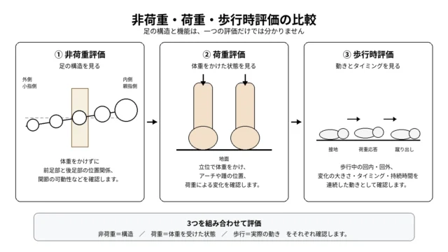前足部と後足部を非荷重・立位・歩行で評価する違い